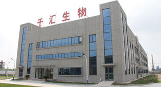 Image 01
