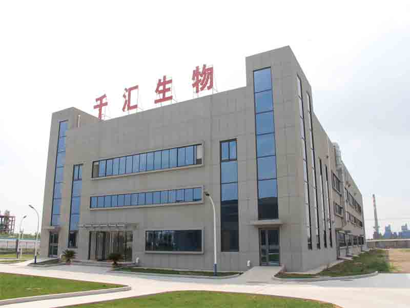 新厂.jpg