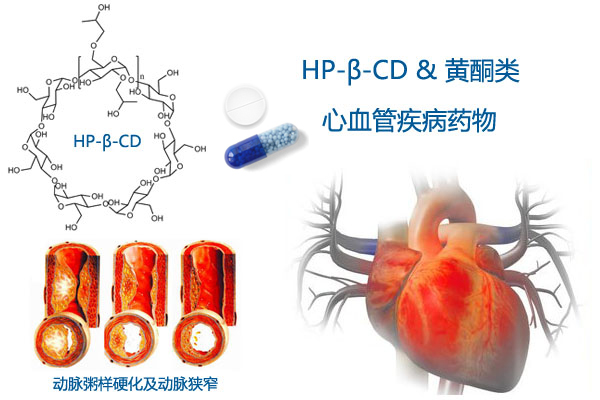 环糊精3.jpg
