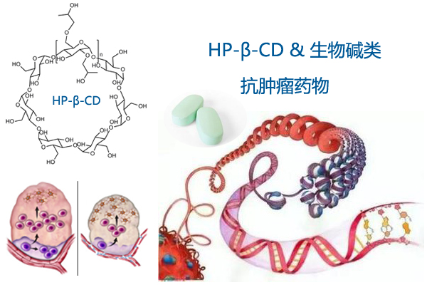 环糊精4.jpg