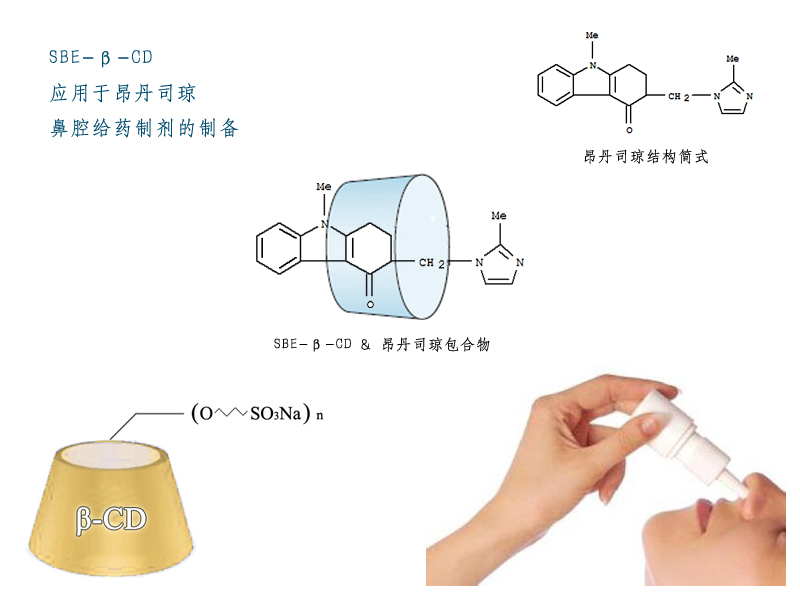 鼻部2.jpg