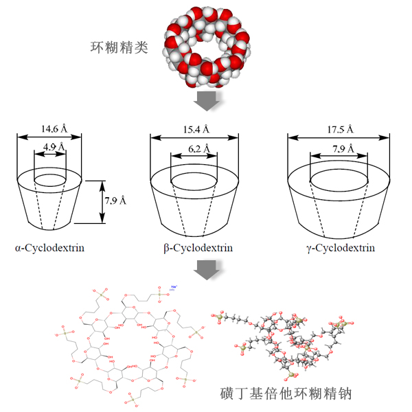 磺丁基应用1.jpg