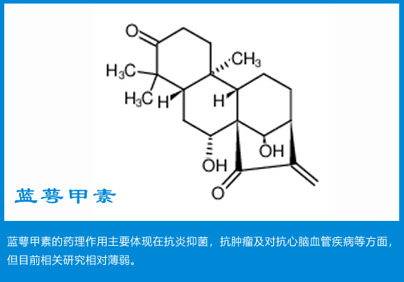 蓝萼甲素.jpg