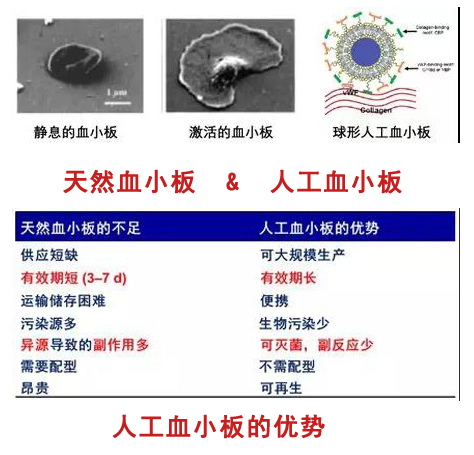 图（2&3）.jpg