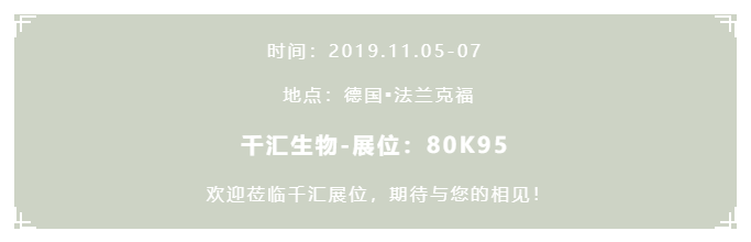 06.png